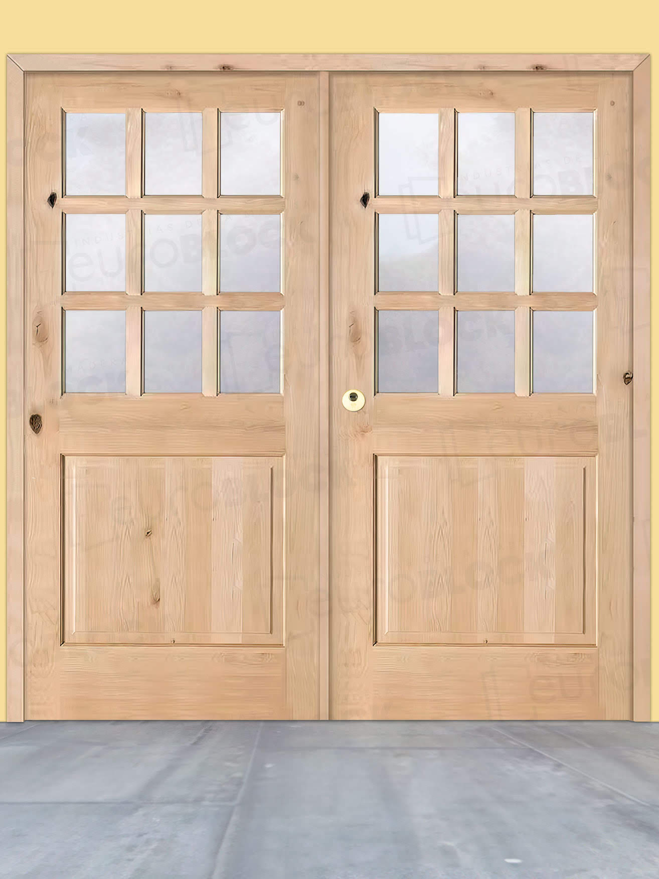 Puerta Doble de Exterior Fijos de Madera Maciza Serie 1100-V9